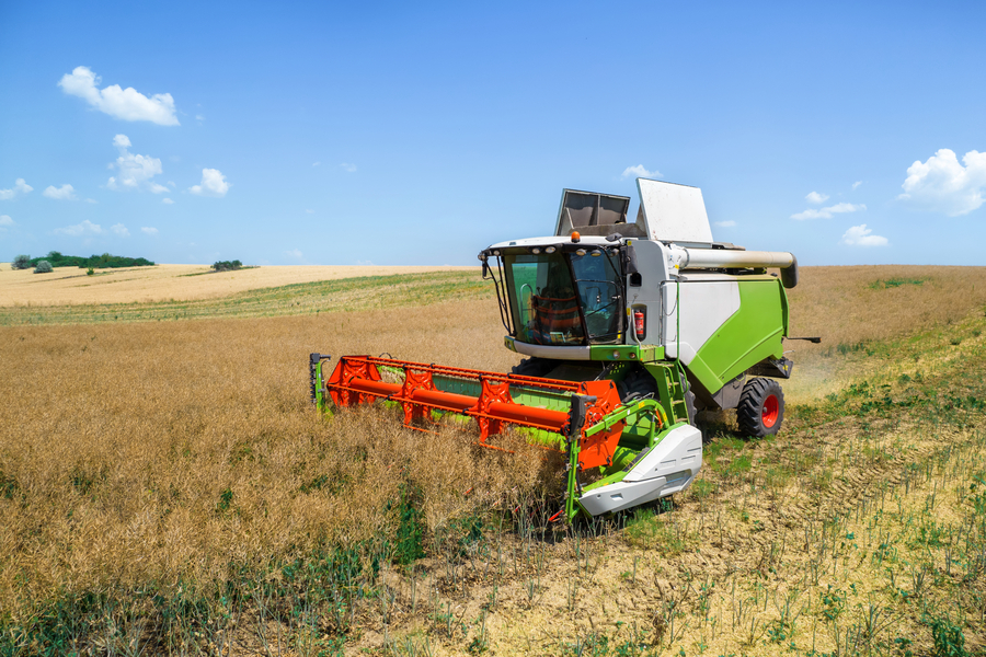 agriculture 4.0 (combine harvester mowing grain)